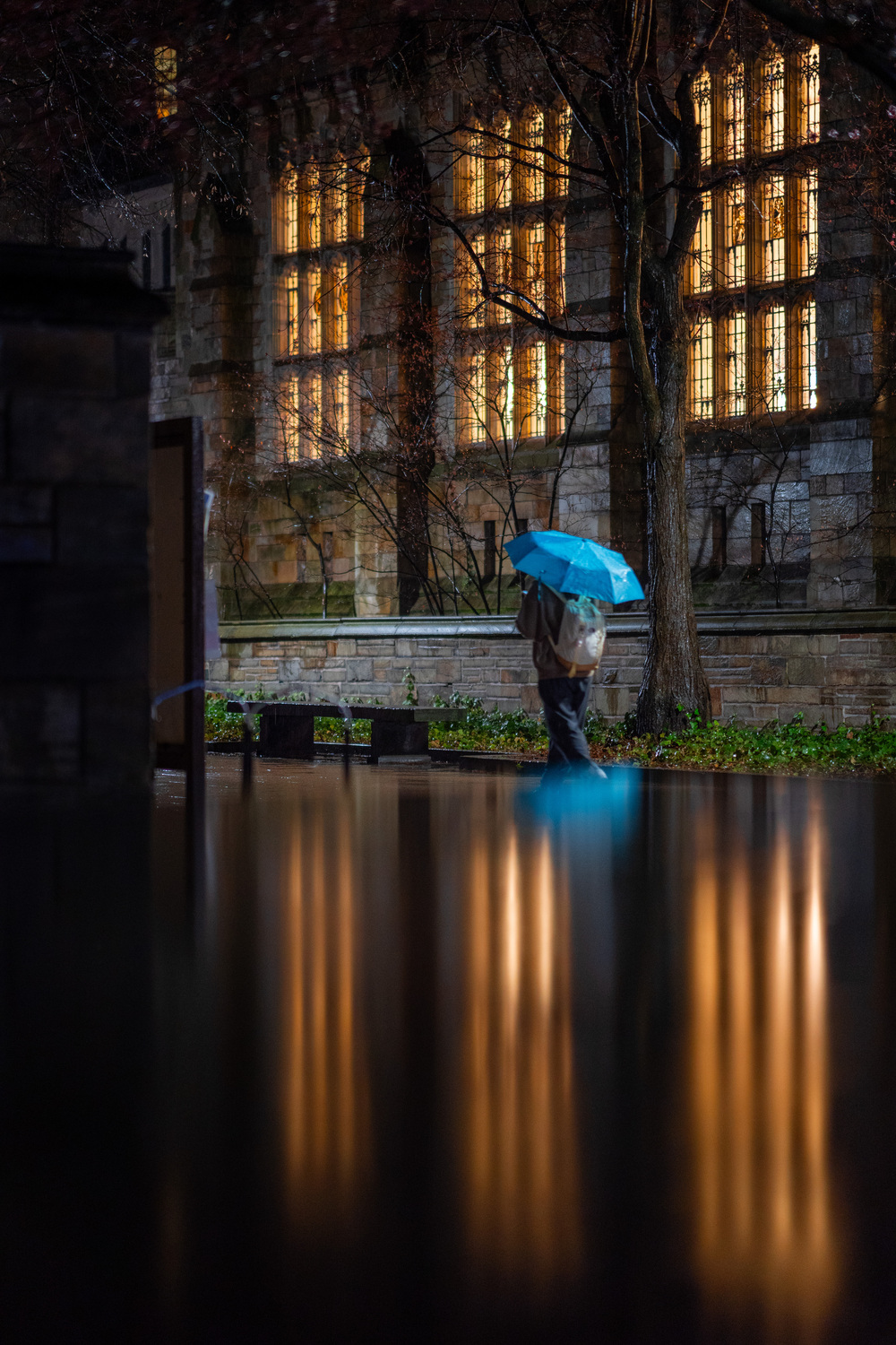 Person with an umbrella walking in the rain